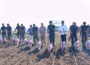 Garap 1.000 Hektare Lahan Tidur Penanaman Jagung Agrosolution Wakasad Ini Untuk Menyejahterakan Masyarakat