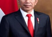 Developed Countries..! Riyan Kadhafi Ucapkan Terima Kasih, Untuk Presiden Republik Indonesia Yang Ke-7. Ir. H. Joko Widodo