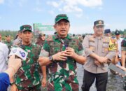 Bersatu Dengan Alam TNI AD Tanam Puluhan Ribu Bibit Mangrove Di Aceh