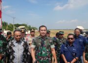 TNI AD Aktif Bantu Pemerintah Amankan Stok Pangan Nasional