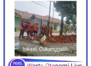 Galian Kabel PLN, Desa Cukanggalih Kangkangi Aturan Dinas DPMPTSP Harus Ambil Tindakan