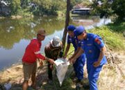 Peduli Lingkungan Polresta Sidoarjo Bersama Warga Bersihkan Sampah Di Pesisir Pantai