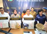 Sat Reskrim Polrestro Bekasi Kota Ungkap Kasus Pencabulan Dan Kekerasan Terhadap Anak Yang Menyebabkan Meninggal   