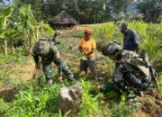 Galakkan Ketahanan Pangan, Satgas 323 Buaya Putih Bagikan Bibit Sayur