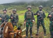 PLTA Inovasi TNI Buat Papua Terang, Disambut Gembira Warga Mapenduma