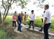 SATGASSUS PENCEGAHAN TIPIKOR PANTAU PROYEK PENINGKATAN DAN PEMELIHARAAN JARINGAN IRIGASI TERSIER DI SUMUT