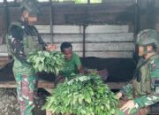 ROSITA Marinir Habema Bantu Ekonomi Warga Dekai
