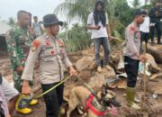 Polri Kerahkan 102 Personel Dan Satu Anjing K9 Cari Korban Longsor Di Kelurahan Rua Ternate