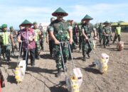 Jagung Ditanam, Sejahtera pun Datang
