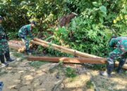 42 Batang Kayu Hasil Ilegal Logging Berhasil Diamankan Satgas Yonkav 12/BC Di Perbatasan RI-Mly