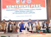 Penegakan Hukum Tegas Untuk Perdagangan Benih Lobster Ilegal Di Lampung