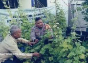 Wujudkan Swasembada Pangan Bhabinkamtibmas Palmerah Bersama Warga Manfaatkan Lahan Kosong Jadi Lahan Hidroponik