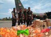 TNI AD Kerahkan Ratusan Personel Bantu Penanganan Erupsi Gunung Lewotobi