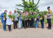 Panen Kangkung Perdana Ketahanan Pangan Polsek Neglasari