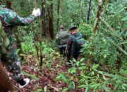 Satgas Yonzipur 5/ABW Patroli Menyisir Taman Nasional Betung Kerihun