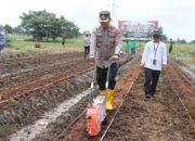 Kapolres Metro Tangerang kota Realisasi Asta Cita Presiden Prabowo, Penanaman 1 Hektare Jagung