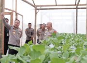 Karo Penmas Divhumas Polri Tinjau Green House Polda Kalsel