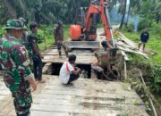 Hidupkan Kembali Akses Perekonomian Warga, Satgas Yonif 131/BRS Perbaiki Jembatan Di Keerom