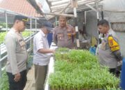 Wakapolsek Ciledug Tinjau KWT ASRI Cipadu Sebagai Dukungan Program Asta Cita Pemerintah RI