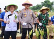 Polda Metro Jaya Gelar Panen Raya Jagung Dukung Ketahanan Pangan