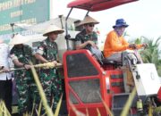 Dukung Ketahanan Pangan Nasional, Pangdam XV/Pattimura Ikut Panen Padi Di Pulau Buru