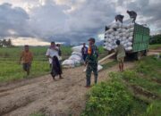 Babinsa Koramil 1316-02/Paguyaman Laksanakan Pendampingan Pengawalan Penjualan Gabah Kering Dan Padi