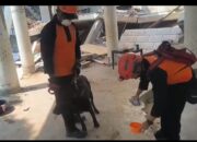 Tim K9 Polri yang Tergabung Dalam Tim INASAR 1 Berhasil Temukan Korban Dalam Operasi Kemanusiaan Di Myanmar   