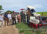 Babinsa Jajaran Kodim 1015/Sampit Laksanakan Sergab Petani Di Wilayah