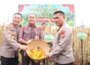 Polda Metro Jaya Panen Jagung Di Bantaran Kali Ciliwung Tanah Abang, Jakarta Pusat