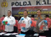 Tegas Berantas Premanisme Polda Kalbar Ungkap 232 Kasus Kriminal, Satu Orang Ditangkap Atas Kepemilikan Senpi Rakitan
