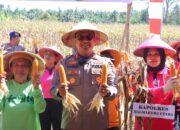 POLDA MALUKU UTARA PANEN RAYA JAGUNG DUKUNG PROGRAM ASTA CITA UNTUK KETAHANAN PANGAN NASIONAL GUNAKAN DANA DESA