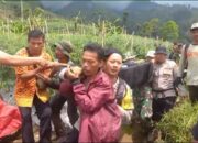 Pendaki yang Hilang di Gunung Cikuray Ditemukan, Polsek Cilawu dan Tim Gabungan Lakukan Proses Evakuasi