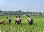INOVASI PELATIHAN SISWA POLWAN 2025: Dari Pengabdian Desa hingga SPPG POLRI