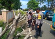 Polsek Cikelert Evakuasi Pohon Tumbang Tutup Jalan di Cikelet