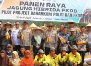 Kakorbinmas Baharkam Polri panen raya jagung hibrida bersama FKDB: Kolaborasi strategis wujudkan ketahanan pangan nasional