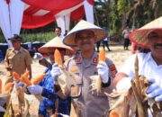 Kapolres Kampar Panen Raya Jagung Wujud Dukungan Nyata untuk Ketahanan Pangan Nasional
