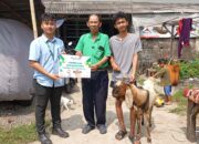 Peringati Hari Raya Idul Adha 1446 H/ 2025 M Apical Marunda Salurkan Dan Berbagi Hewan Qurban Untuk Masyarakat Sekitar