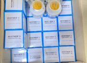 Polisi Berhasil Amankan 2 Pengedar Obat Terlarang, Ribuan Butir Tramadol Dan Hexymer Disita