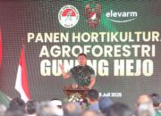 Kasad: Agroforestry Dorong Kesejahteraan Petani Dan Ketahanan Pangan Nasional