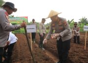 Polres Metro Bekasi Kota Gelar Penanaman Jagung Serentak, Dukung Ketahanan Pangan Nasional
