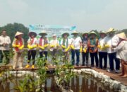 Festival Marunda Menyongsong Usia Lima Abad Jakarta