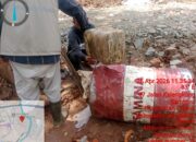 PT BUM Diduga Gunakan Solar Subsidi Proyek Pembangunan Lahan Parkir Kampus Hubb Sampora