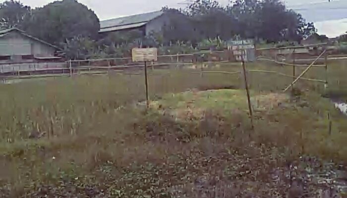 HGB 12 PT Bumi Sejahtera Puramas Masuk Persil Desa Cukanggalih Mengapa Berada di Desa Kadu Jaya, Hakim Harus Objektif