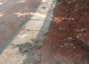 Proyek Drainase Kampung Ciangir Bak Siluman, Profesionalitas Pelaksanaan Dipertanyakan