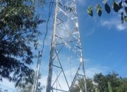 Dugaan Tower BTS Hanya Berizin Desa, Tata Ruang dan Kesalamtan Warga Diabaikan