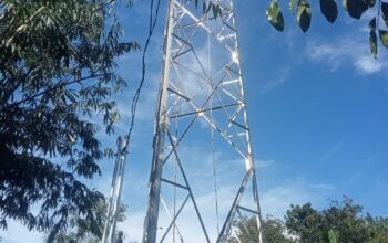 Dugaan Tower BTS Hanya Berizin Desa, Tata Ruang dan Kesalamtan Warga Diabaikan