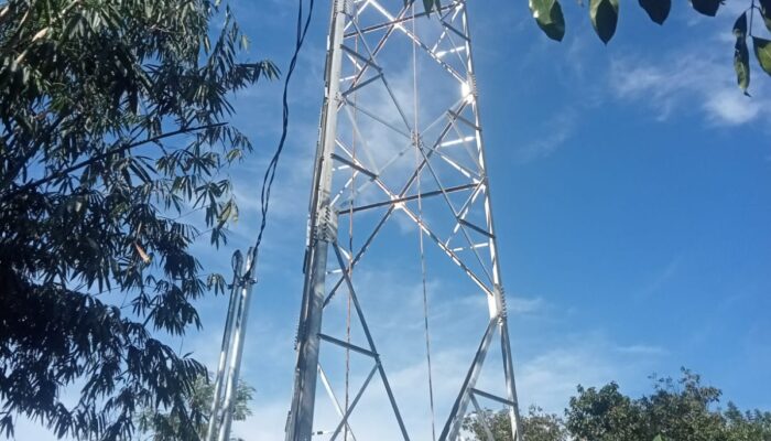 Dugaan Tower BTS Hanya Berizin Desa, Tata Ruang dan Kesalamtan Warga Diabaikan